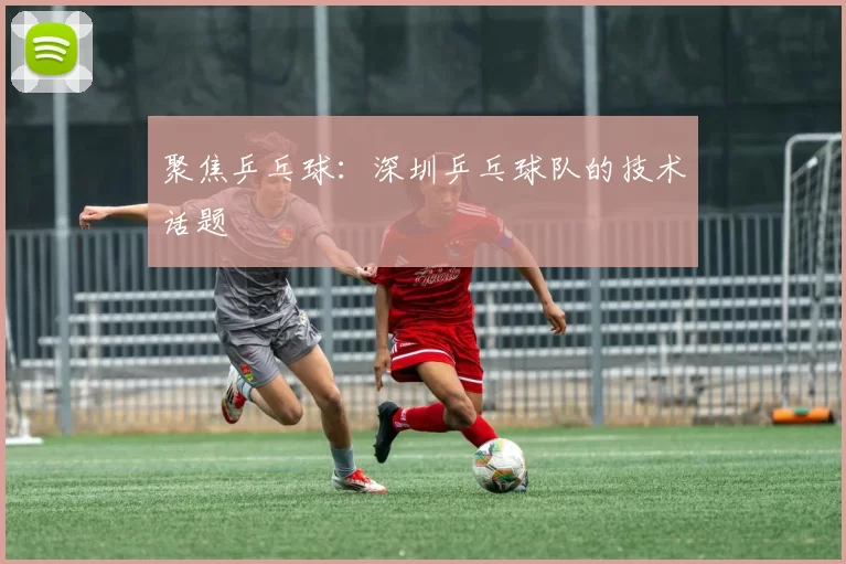聚焦乒乓球：深圳乒乓球队的技术话题