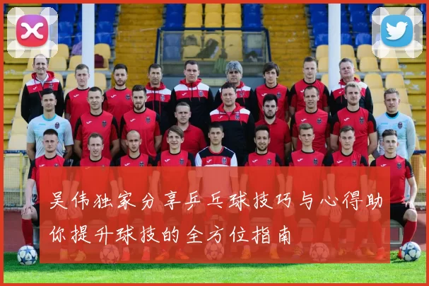 吴伟独家分享乒乓球技巧与心得助你提升球技的全方位指南