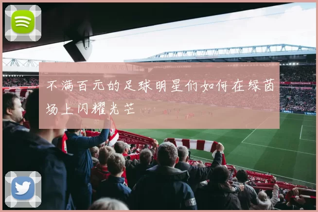 不满百元的足球明星们如何在绿茵场上闪耀光芒