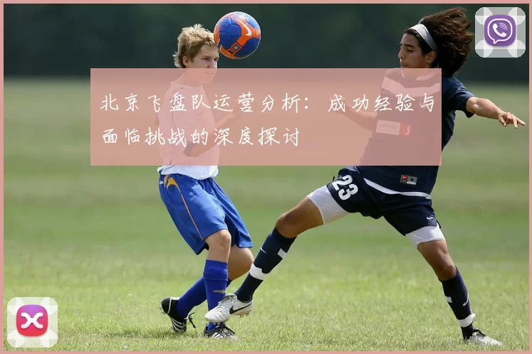 北京飞盘队运营分析：成功经验与面临挑战的深度探讨