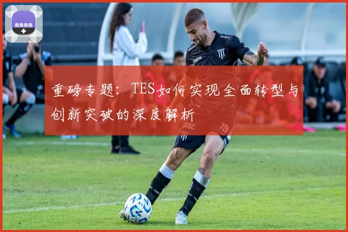 重磅专题：TES如何实现全面转型与创新突破的深度解析