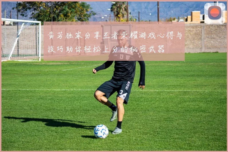 黄芳独家分享王者荣耀游戏心得与技巧助你轻松上分的秘密武器