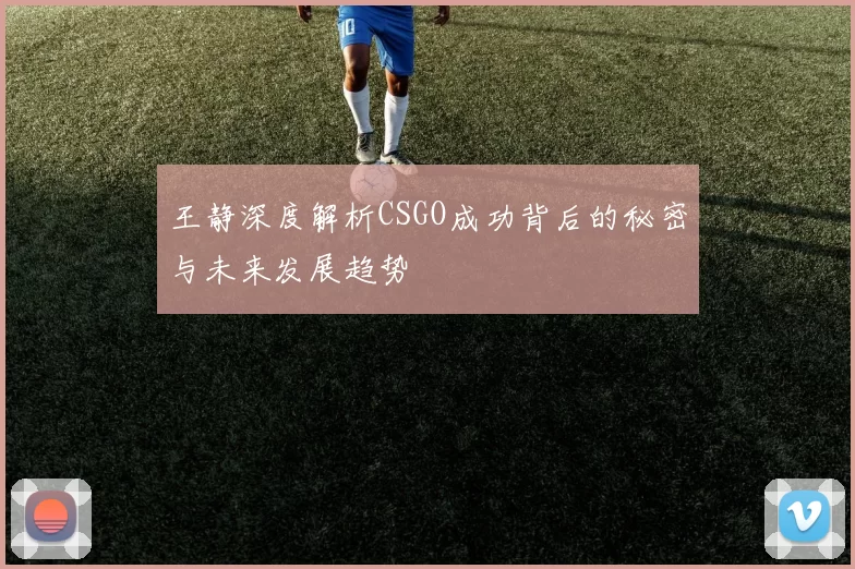 王静深度解析CSGO成功背后的秘密与未来发展趋势