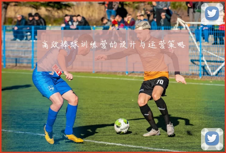 高效棒球训练营的设计与运营策略