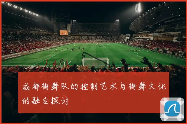 成都街舞队的控制艺术与街舞文化的融合探讨