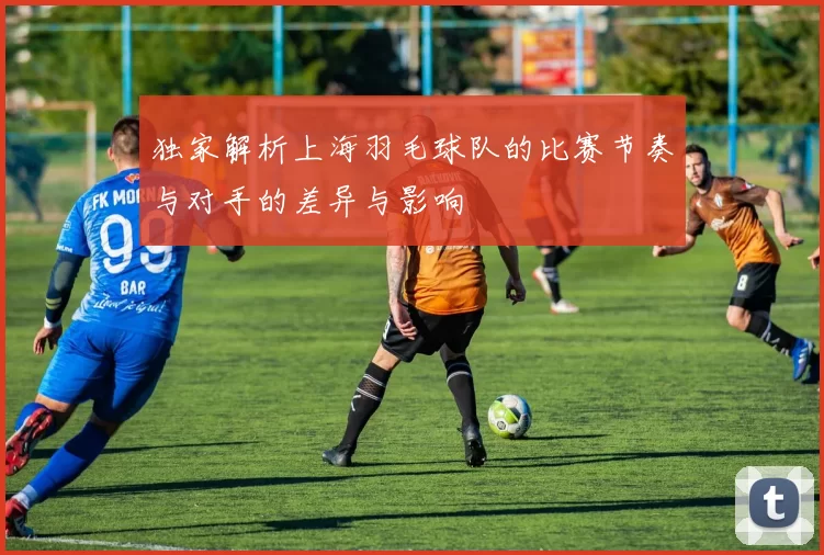 独家解析上海羽毛球队的比赛节奏与对手的差异与影响