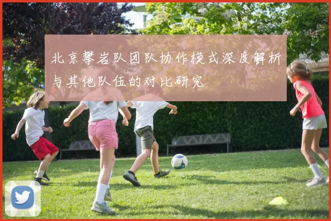北京攀岩队团队协作模式深度解析与其他队伍的对比研究