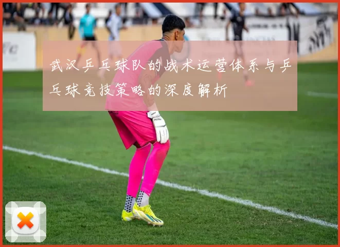 武汉乒乓球队的战术运营体系与乒乓球竞技策略的深度解析