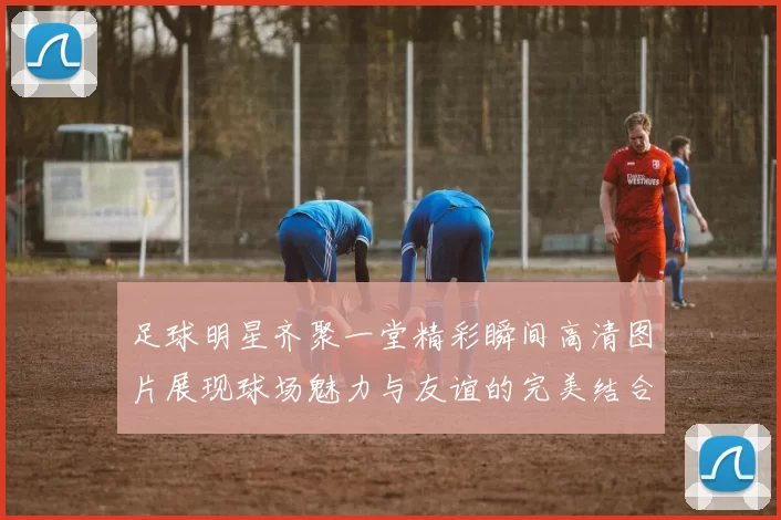 足球明星齐聚一堂精彩瞬间高清图片展现球场魅力与友谊的完美结合