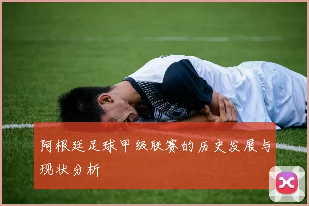 阿根廷足球甲级联赛的历史发展与现状分析