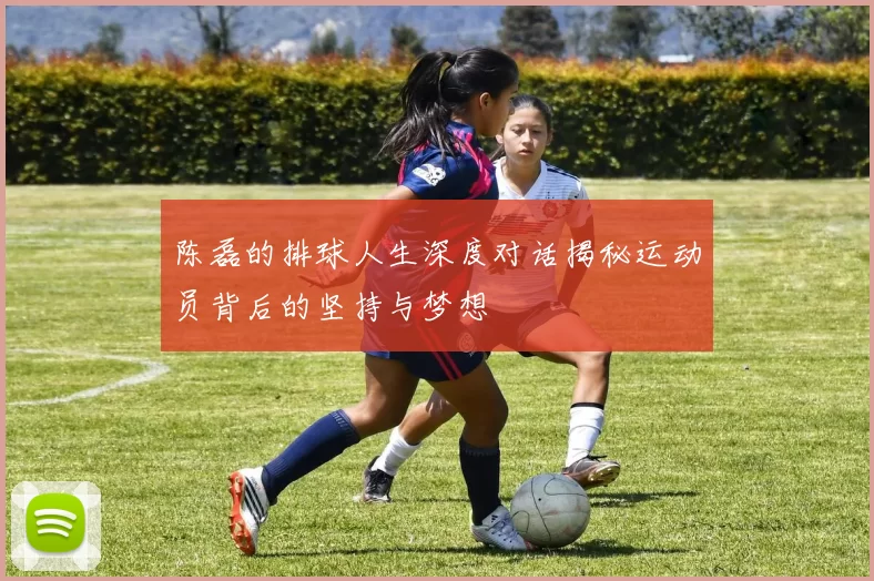 陈磊的排球人生深度对话揭秘运动员背后的坚持与梦想