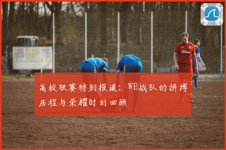 高校联赛特别报道：WE战队的拼搏历程与荣耀时刻回顾