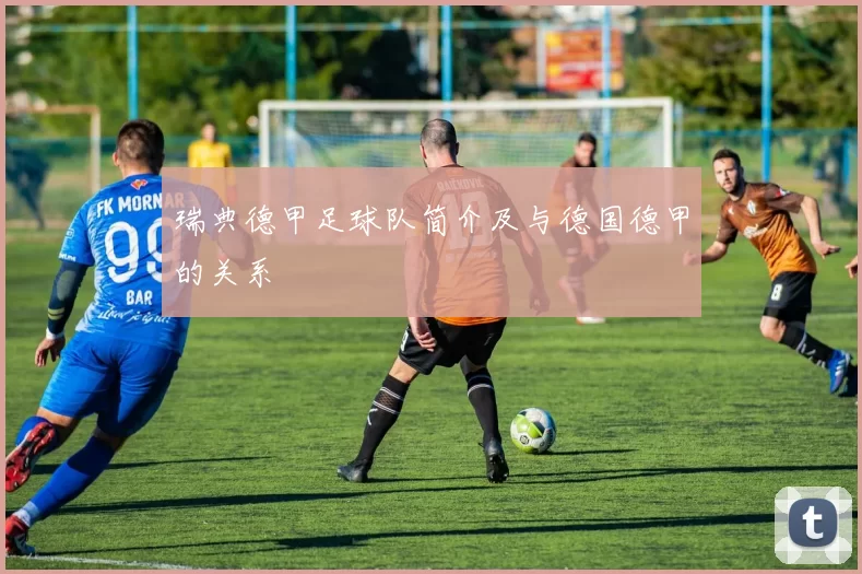 瑞典德甲足球队简介及与德国德甲的关系