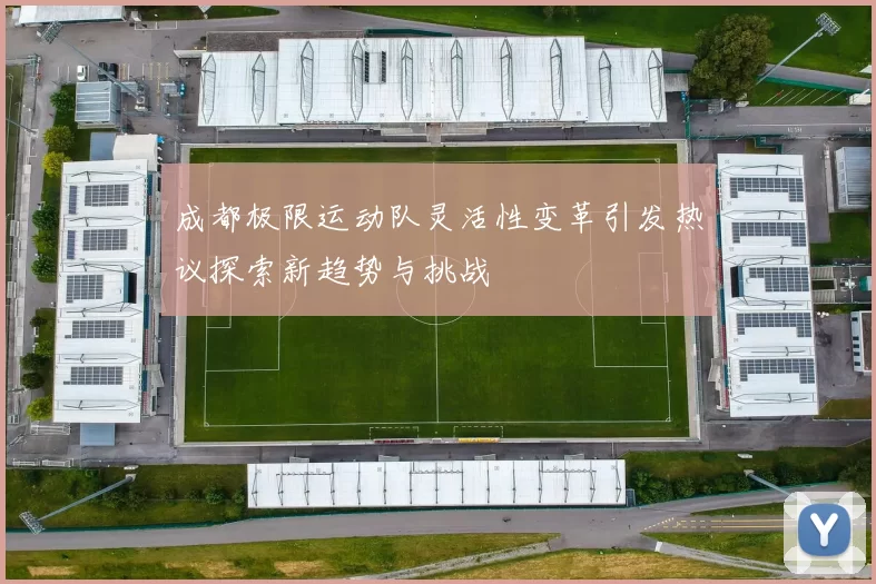 成都极限运动队灵活性变革引发热议探索新趋势与挑战