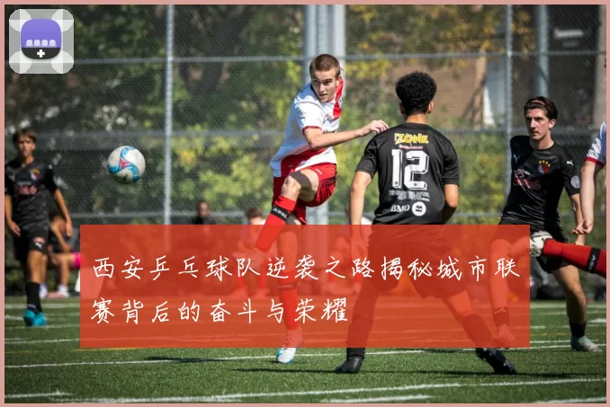 西安乒乓球队逆袭之路揭秘城市联赛背后的奋斗与荣耀